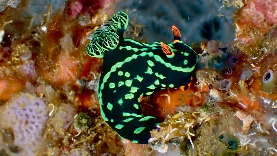 Financial advisor working on a tablet representing the digital quote process